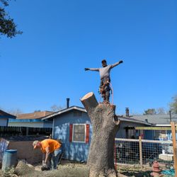 Irrigator and Trees Service