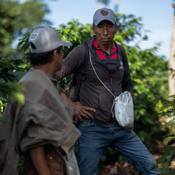 Java City - Transform lives with you everyday ritual. Our coffee is 100% sourced from farmer-owed cooperatives.
