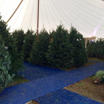 Perfect Event Rentals - Granny's Christmas Tree Lot by Perfect Event Rentals! Best looking Christmas trees at the best prices in Virginia Beach! - Party Equipment Rentals Near Me - Chesapeake, Virginia