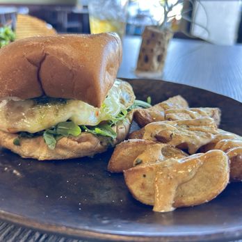 Vinya - Wine Bars Near Me - San Diego, California