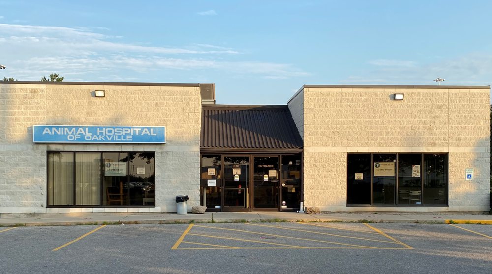 ANIMAL HOSPITAL OF OAKVILLE Updated September 2024 234 South