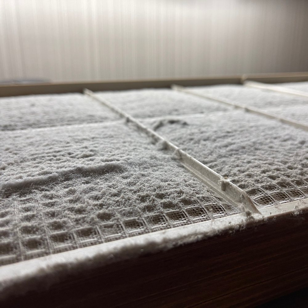 © 2021 Erik D. Phillips Thick dust and other detritus fills up the spaces in the air filtration filters.