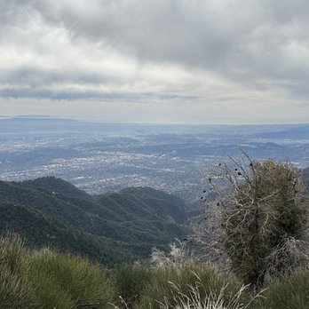 Mt Wilson - Hiking Near Me Mt Wilson - Hiking Near Me