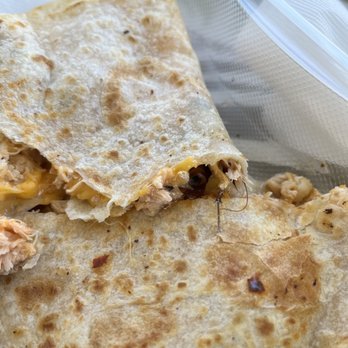 Clayton's Mexican Take Out - Chicken quesadilla with a cockroach - Mexican Near Me - Coronado, California