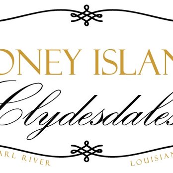 Honey Island Clydesdales - Party Equipment Rentals Near Me Honey Island Clydesdales - Party Equipment Rentals Near Me