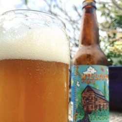 Craft Beer Club - What's better than a cold craft beer on a hot day?