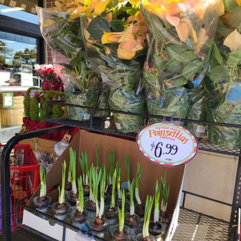Trader Joe's - Grocery Near Me - San Jose, California