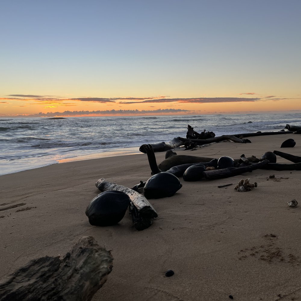 Shannon's Travel Spot - Sunset from our hotel in Kauai! - Travel Agents Near Me Shannon's Travel Spot - Sunset from our hotel in Kauai! - Travel Agents Near Me