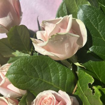 Manites Flower Shop - Pink rose bouquet needs life - Florists Near Me - Burnaby, British Columbia Manites Flower Shop - Pink rose bouquet needs life - Florists Near Me - Burnaby, British Columbia