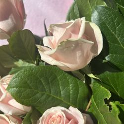 Manites Flower Shop - Pink rose bouquet needs life