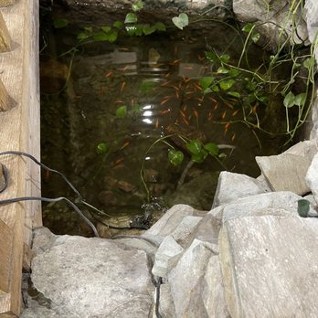 Nan Jing - Pond with bridge - Chinese Near Me - Sun City West, Arizona