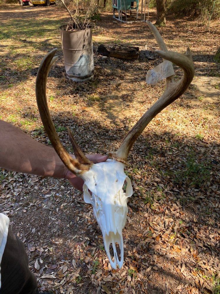 Rack Razor Alabama MASTER RACK LODGE - Updated October 2026 - 13096 County Road 14, Union ...