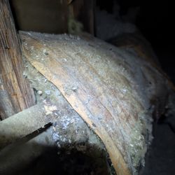 Premier Home Solutions - Insulation that was not removed.