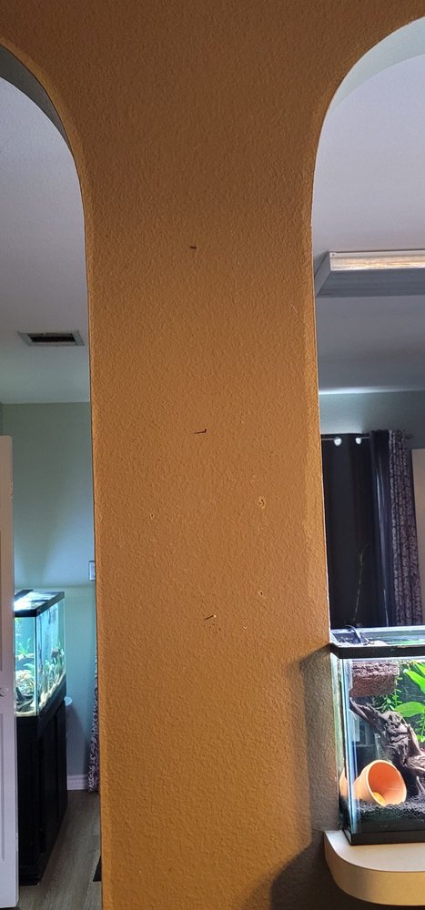 Slide of Prime Time Restoration