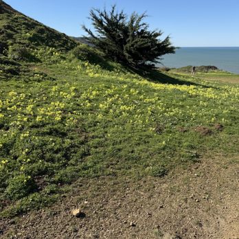 Mori Point - Hiking Near Me - Pacifica, California