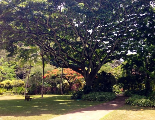 Waimea Valley by null