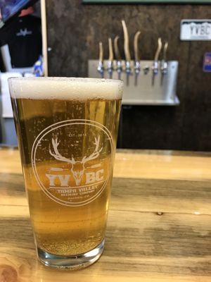 Yampa Valley Brewing Company by null