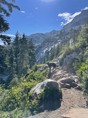 Mount Pilchuck Trailhead by null