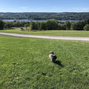 Keuka Spring Vineyards - Wineries Near Me - Penn Yan, New York Keuka Spring Vineyards - Wineries Near Me - Penn Yan, New York