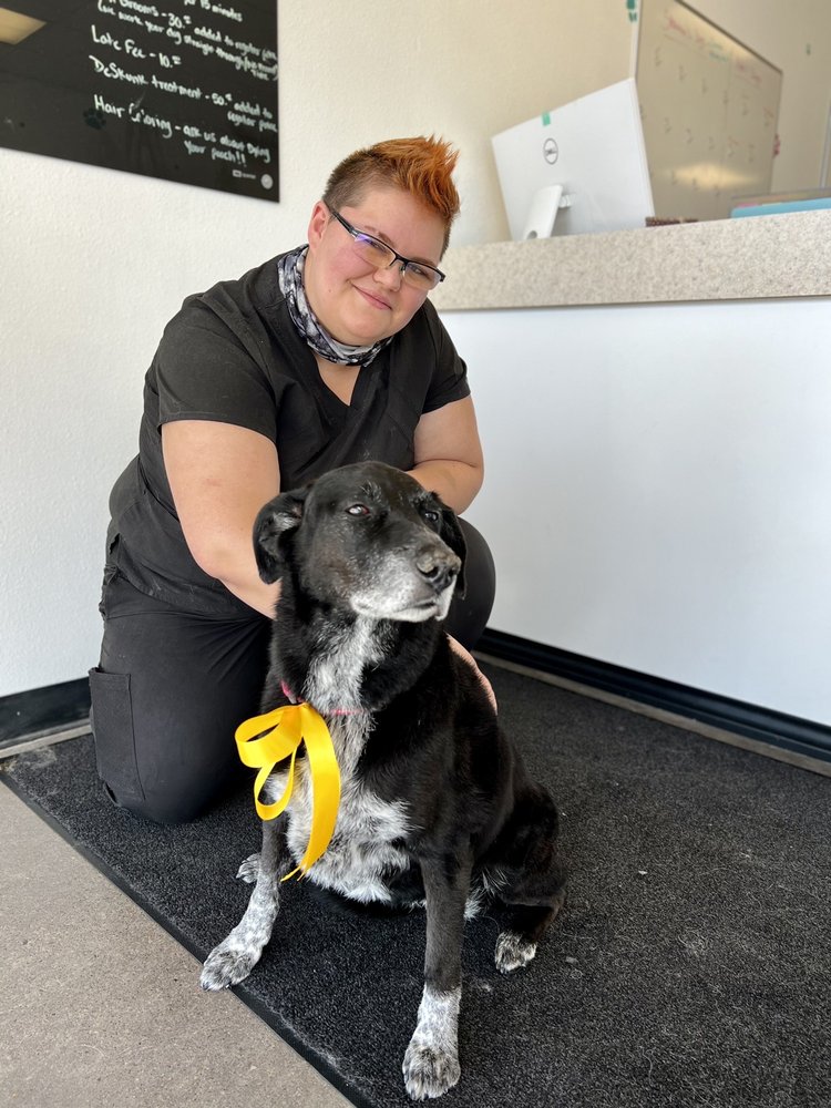 DOG GONE CUTE Updated September 2024 2498 S Hwy 97, Redmond, Oregon