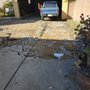 Photo of Alvarado's Junk Cars