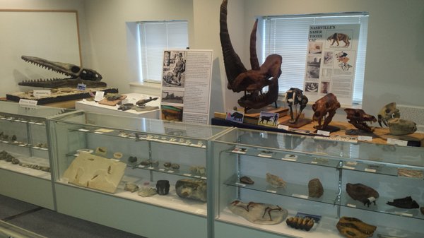 Earth Experience - Middle Tennessee Museum of Natural History by null