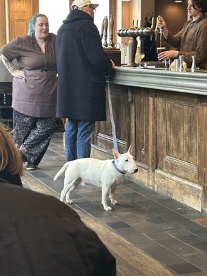 The Hero - Maida Vale by null