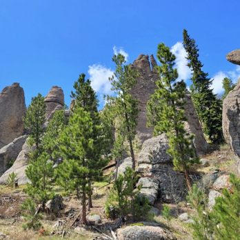 Custer State Park - Image of Custer State Park. - Parks Near Me - Custer, South Dakota Custer State Park - Image of Custer State Park. - Parks Near Me - Custer, South Dakota