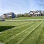 Photo of Innovative Landscaping
