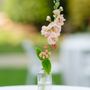 Zoe Events & Party Rentals