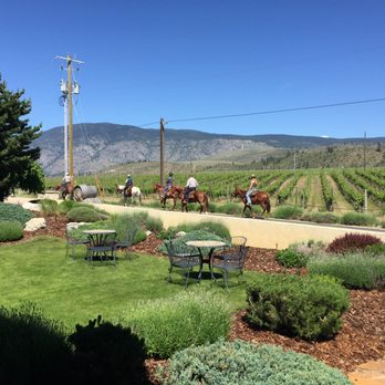 Le Vieux Pin Winery - The road in front of the winery - Wineries Near Me - Oliver, British Columbia