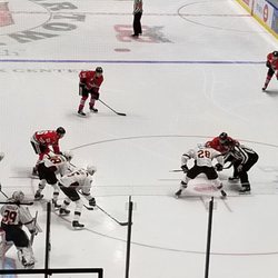 Rockford Icehogs - Rockford Icehogs