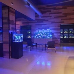The Reef Shoppe