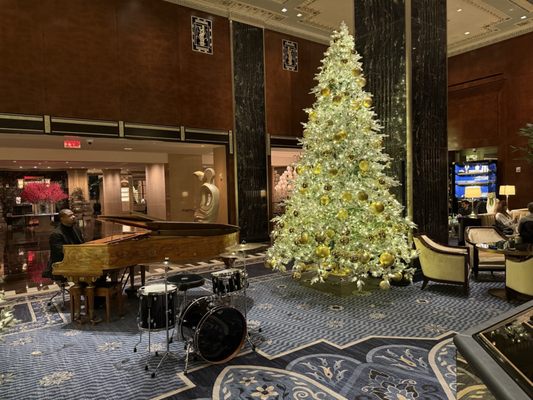 Peacock Alley by null