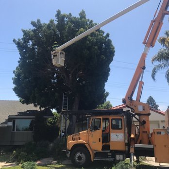 Jimmie's Tree Service - During... - Tree Services Near Me Jimmie's Tree Service - During... - Tree Services Near Me