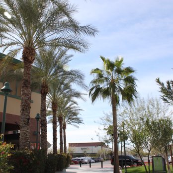 Gold Medal Tree Management - palm trees in front of a building - Tree Services Near Me - Mesa, Arizona
