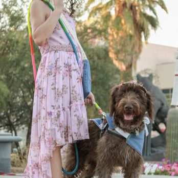 Rainbow Service Dogs - Dogs in Denim event 2023
Sophia Lychee and Jocelyn - Pet Training Near Me Rainbow Service Dogs - Dogs in Denim event 2023
Sophia Lychee and Jocelyn - Pet Training Near Me
