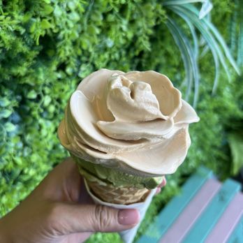 Slothfuls - Ice Cream & Frozen Yogurt Near Me - Burnaby, British Columbia Slothfuls - Ice Cream & Frozen Yogurt Near Me - Burnaby, British Columbia