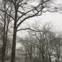 Photo of Rathenaupark