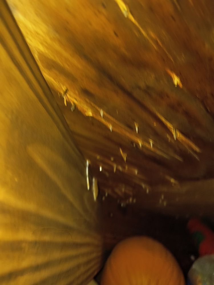 Slide of ARAC Roof It Forward