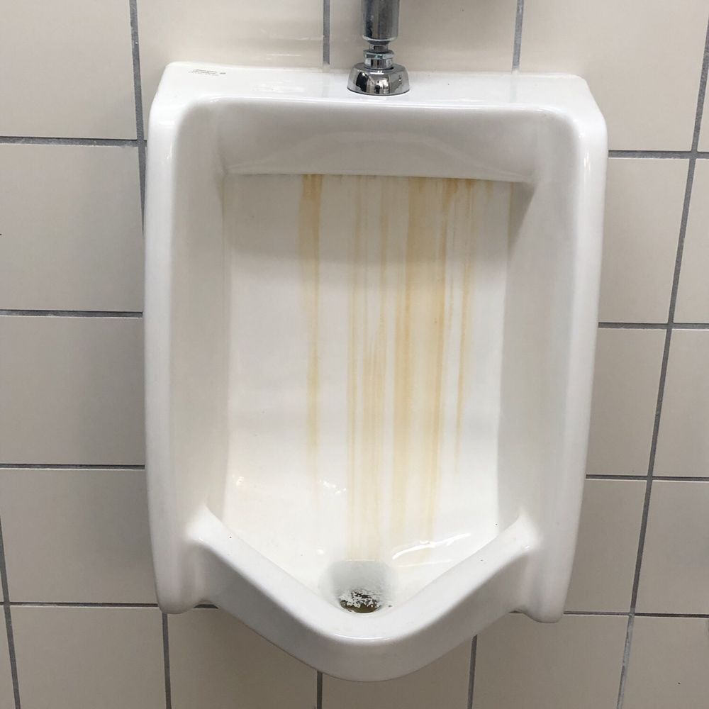 Camp Owaissa Bauer - Bathrooms are disgusting - Campgrounds Near Me - Homestead, Florida Camp Owaissa Bauer - Bathrooms are disgusting - Campgrounds Near Me - Homestead, Florida