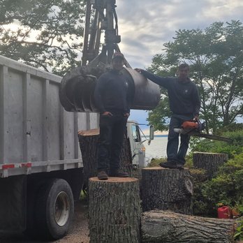 Blizzard Tree Trimming - Tree Services Near Me Blizzard Tree Trimming - Tree Services Near Me