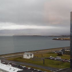 Wandering Puffin - Reykjavik (Smokey Bay)