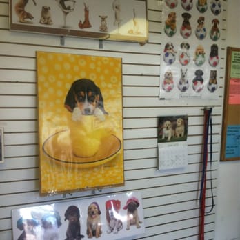 Puppy Love Pet Grooming - Pet Groomers Near Me - Mesa, Arizona
