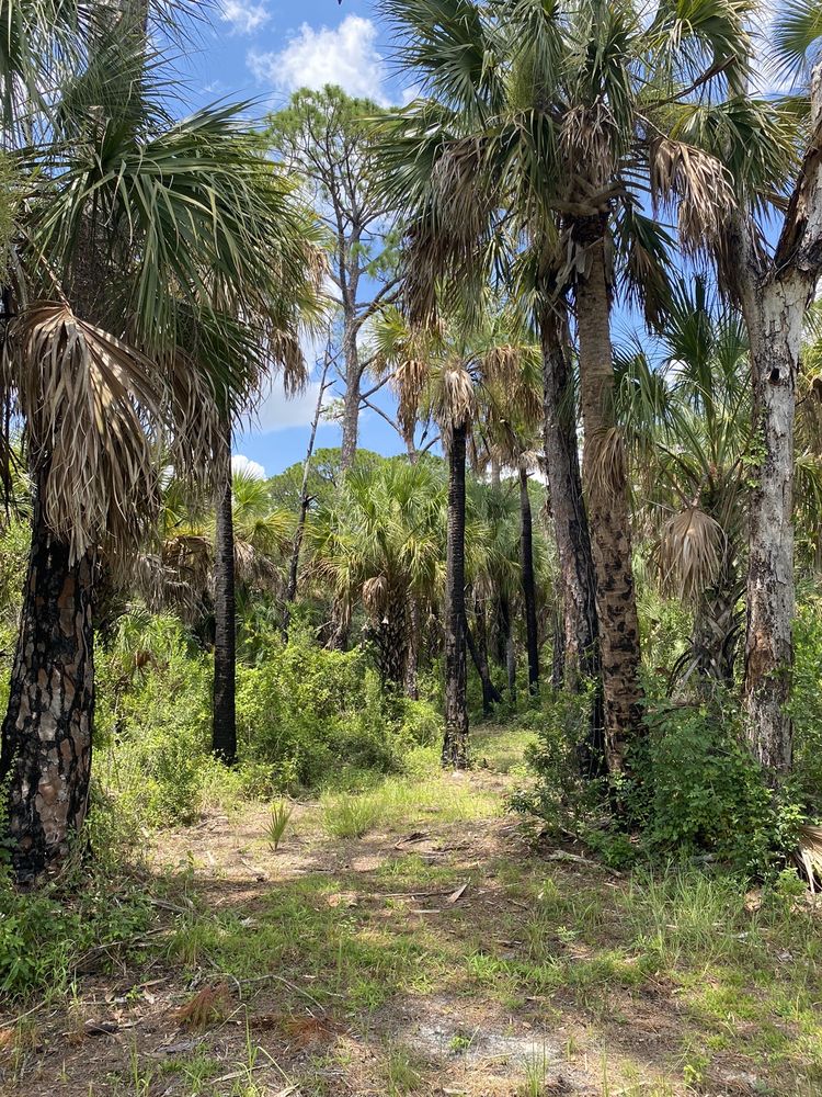Double Branch Nature Preserve Image