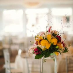 Courtyard Flowers