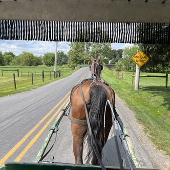 Abe's Buggy Rides - Tours Near Me - Bird In Hand, Pennsylvania