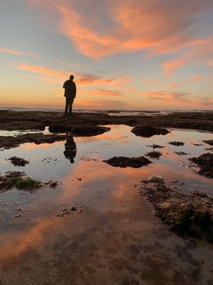 Lifeguard La Jolla Cove by null