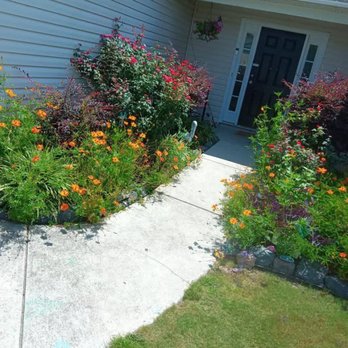 Allen's Tree Stump and Landscaping - Tree Services Near Me - Wilmington, North Carolina Allen's Tree Stump and Landscaping - Tree Services Near Me - Wilmington, North Carolina