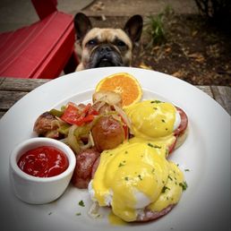 Somebody wants a bit! Soooo..... Good! Somebody wants a bit! Soooo..... Good!